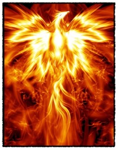 Phoenix